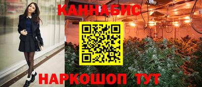 крисы Шелехов