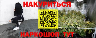 крисы Шелехов