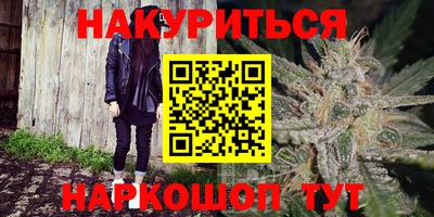 крисы Шелехов