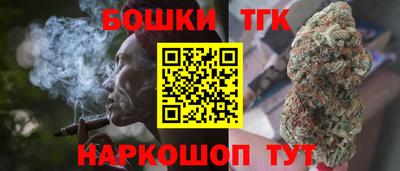 крисы Шелехов