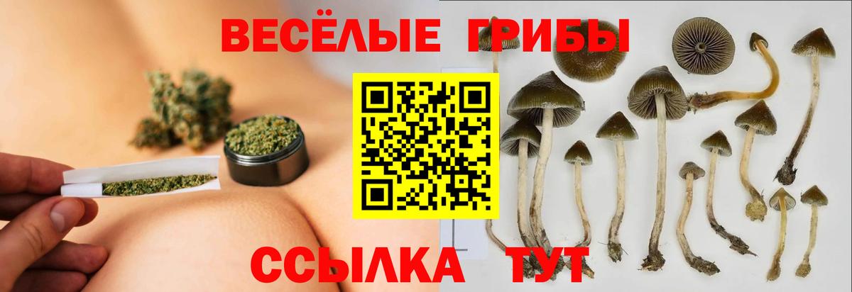Галлюциногенные грибы Magic Shrooms Усть-Джегута