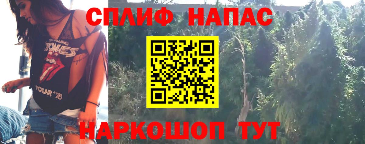 Канабис MAZAR  Вход с VPN  Конопля ГИДРОПОН  Усть-Джегута  МАРИХУАНА сатива 